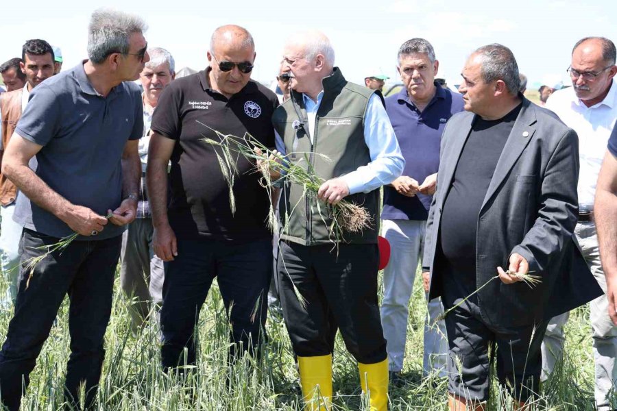 Tzob Genel Başkanı Bayraktar: "son 150 Yılın En Önemli Yağışlarını Aldık"