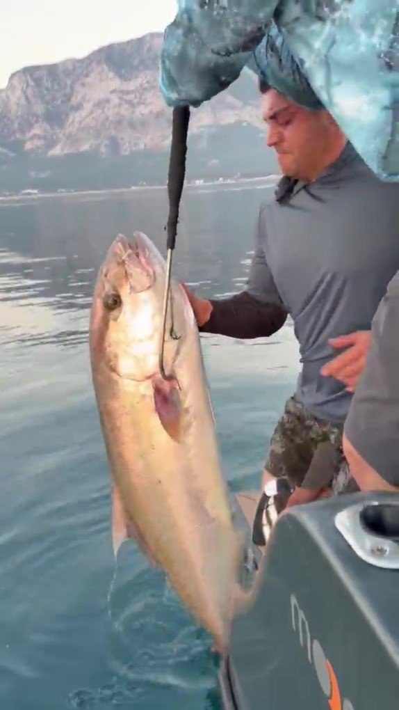 Konyaaltı Sahili’nde 56 Kilogramlık Kuzu Balığı Şaşkınlığı