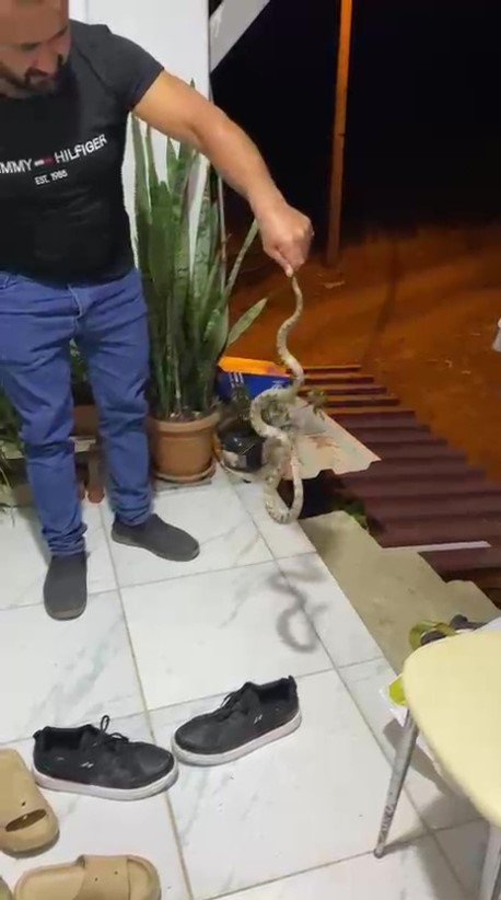 Evine Giren Yılanı "evime Gelme Bak, Kafanı Ezerim" Diyerek Doğaya Bıraktı