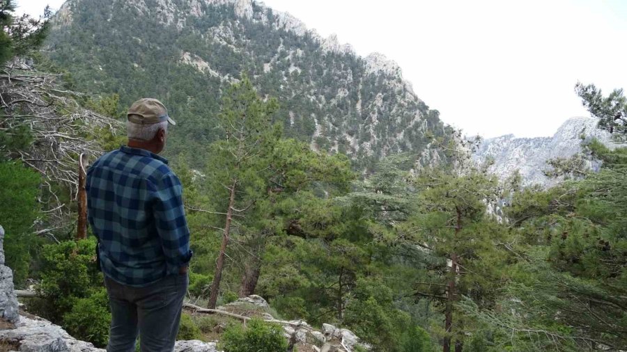 Cep Telefonundan Gönderdikleri Sos Mesajı İle Kurtarıldılar