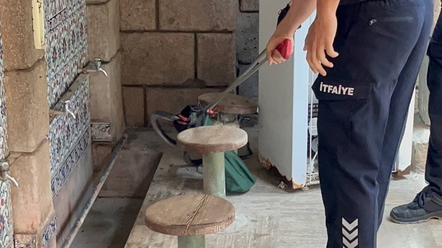Namaza Gelen Cemaat Karşılaştıkları Yılanı Önce Oyuncak Sandı, Hareket Edince Telefona Sarıldı