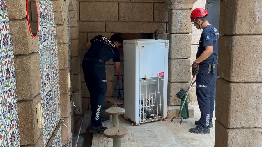 Namaza Gelen Cemaat Karşılaştıkları Yılanı Önce Oyuncak Sandı, Hareket ...