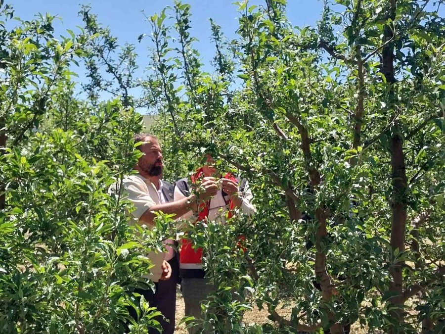 Niğde’de Dolu Ve Sağanak Tarım Arazilerine Zarar Verdi