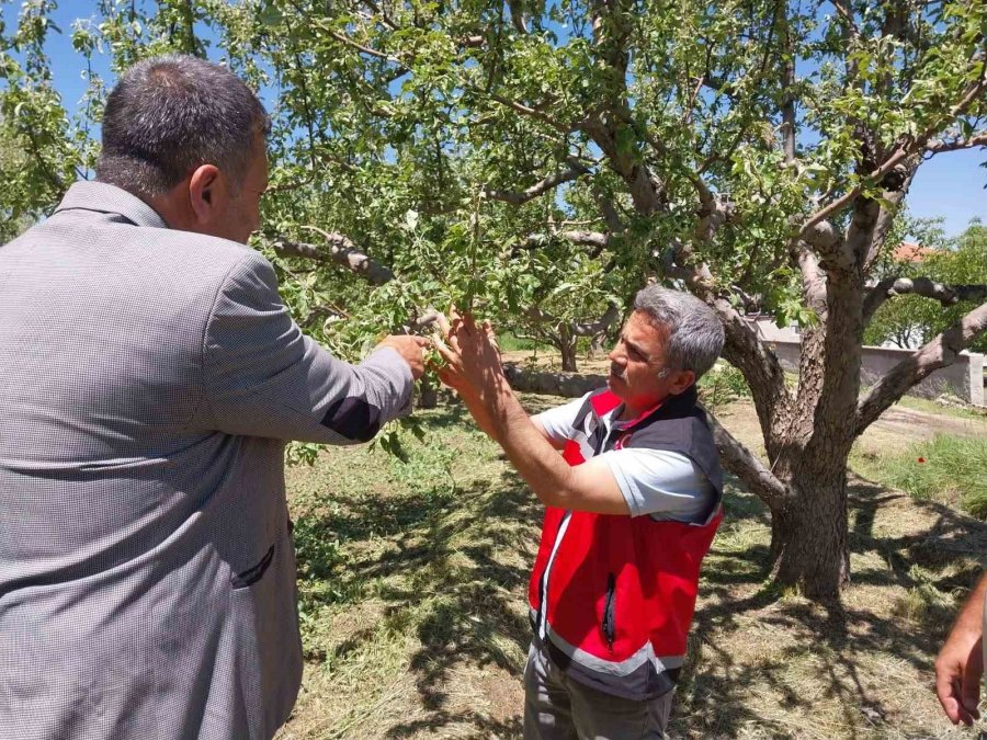 Niğde’de Dolu Ve Sağanak Tarım Arazilerine Zarar Verdi