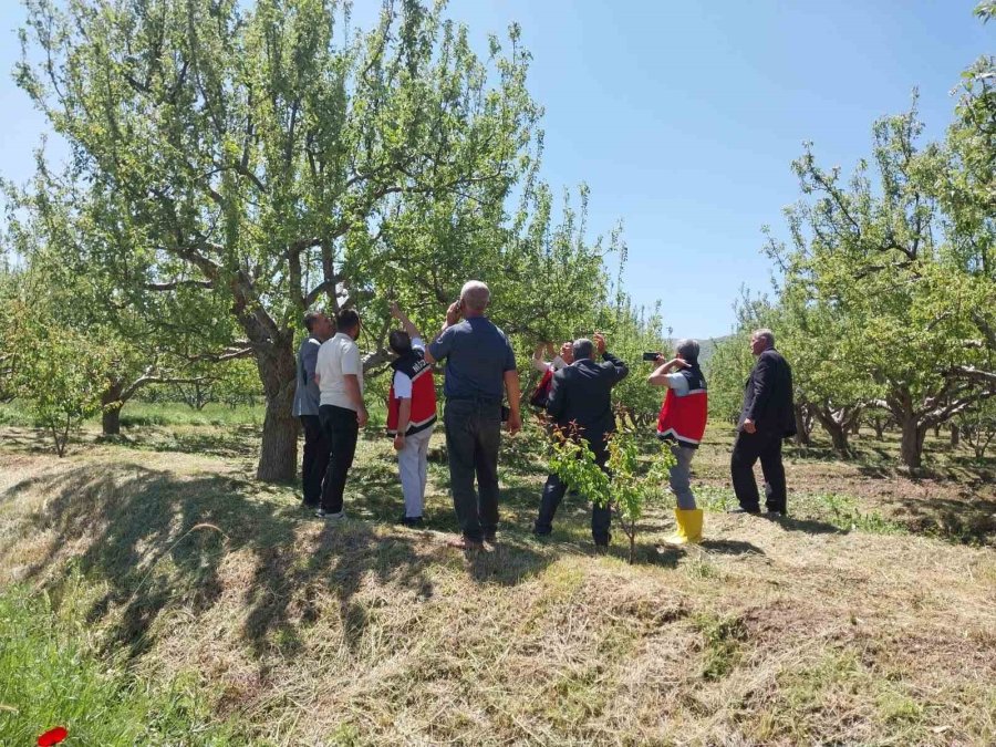 Niğde’de Dolu Ve Sağanak Tarım Arazilerine Zarar Verdi