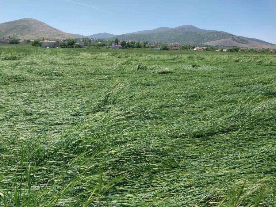 Niğde’de Dolu Ve Sağanak Tarım Arazilerine Zarar Verdi