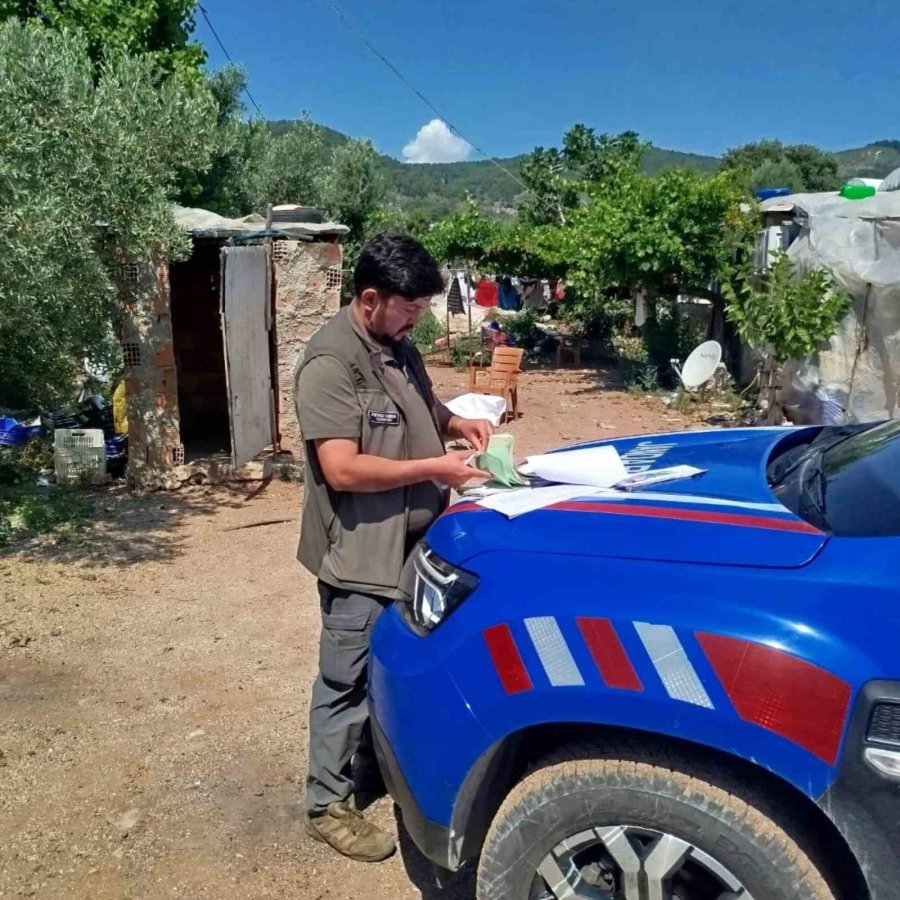 Kuş Denetiminde Kafeslerdeki Keklik Ve Papağanlara El Konuldu