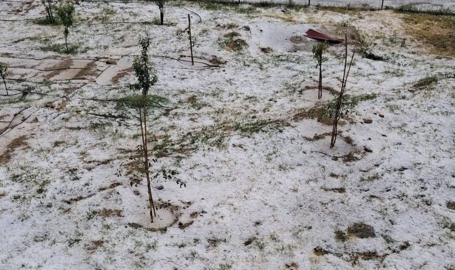 Mersin Erdemli’de Dolu Tarım Alanlarına Zarar Verdi