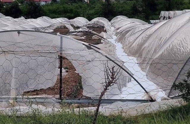 Mersin Erdemli’de Dolu Tarım Alanlarına Zarar Verdi