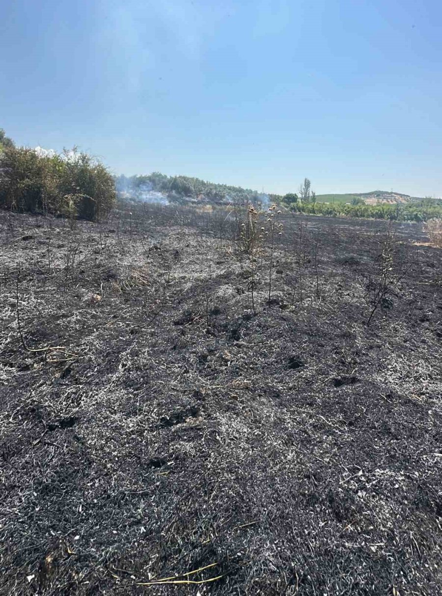 Mersin Mut’ta Yangın: 15 Dönüm Bahçe Zarar Gördü