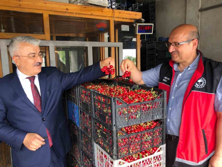 Akşehir Kirazı’nın Geleceği Sahada Değerlendirildi