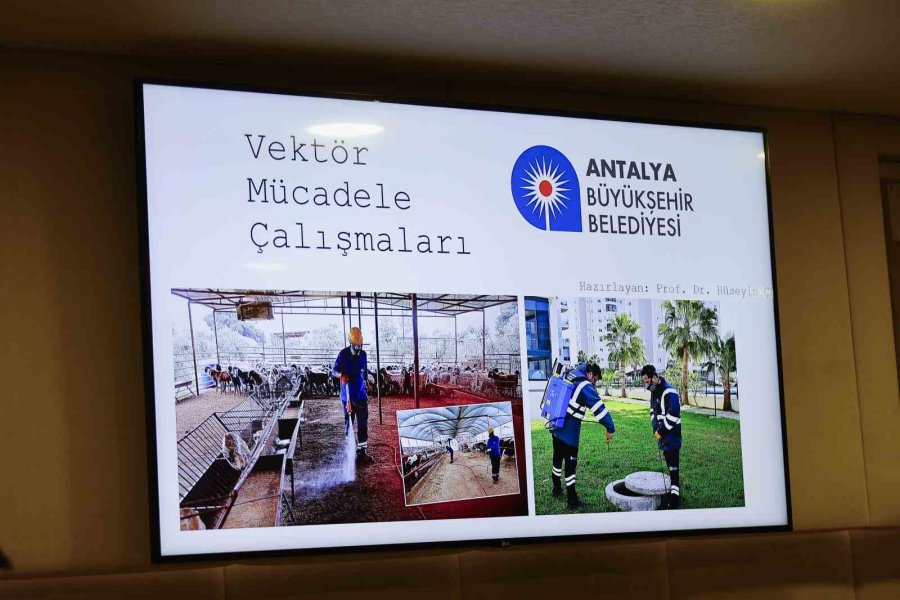 Prof. Dr. Hüseyin Çetin: "antalya Büyükşehir Belediyesi’nin Sorumluluk Alanında Batı Nil Ateşi, Sıtma, Kkka Hastalığı Gibi Hiçbir Hastalık Vakası Yoktur"