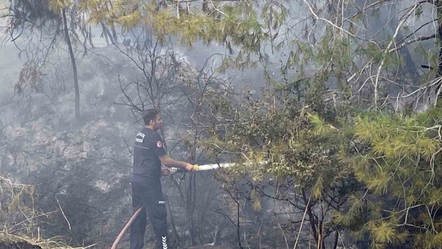 Antalya’da Ormanlık Alandaki Yangın Büyümeden Söndürüldü