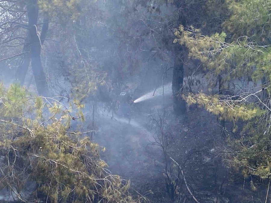 Antalya’da Ormanlık Alandaki Yangın Büyümeden Söndürüldü