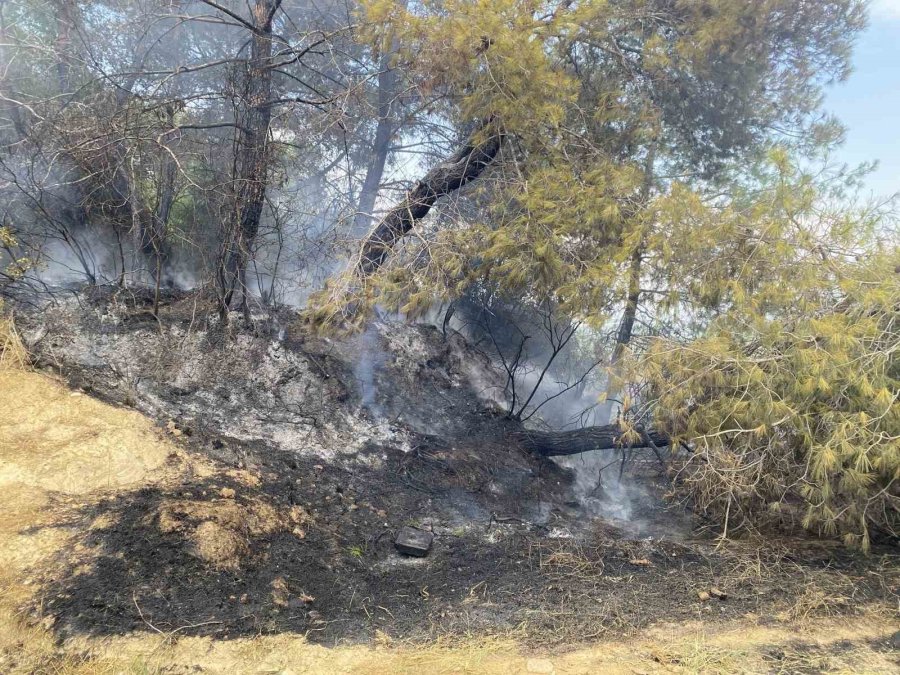 Antalya’da Ormanlık Alandaki Yangın Büyümeden Söndürüldü