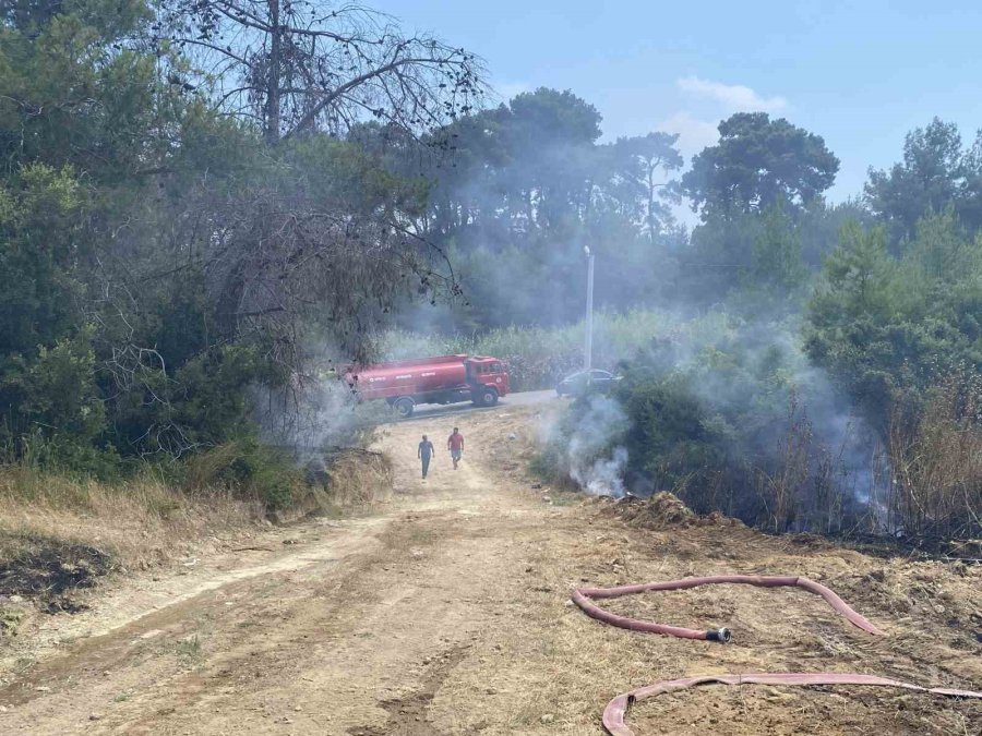 Antalya’da Ormanlık Alandaki Yangın Büyümeden Söndürüldü