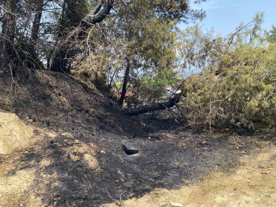 Antalya’da Ormanlık Alandaki Yangın Büyümeden Söndürüldü