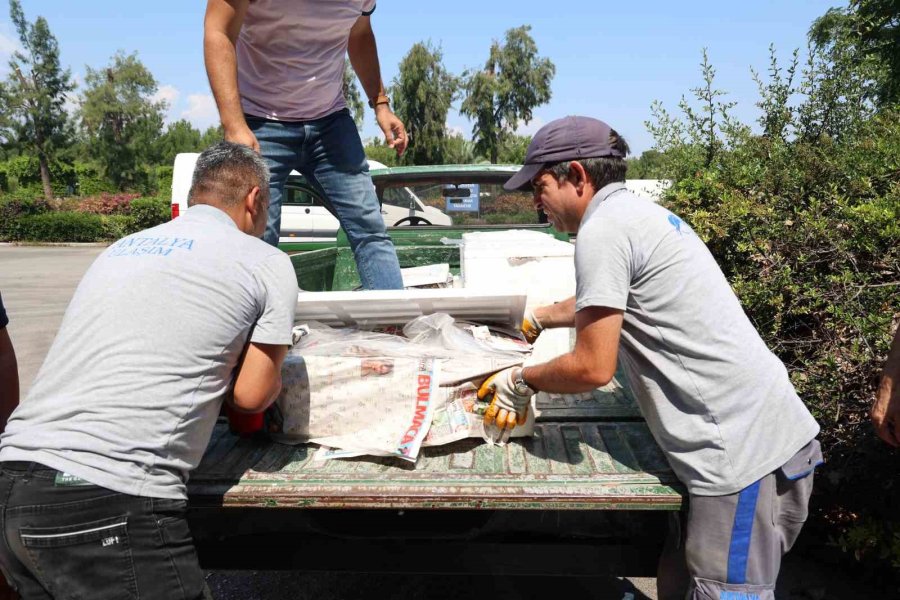 Antalya Otogarı’nda Balık Operasyonu: 260 Kilo Ele Geçirildi