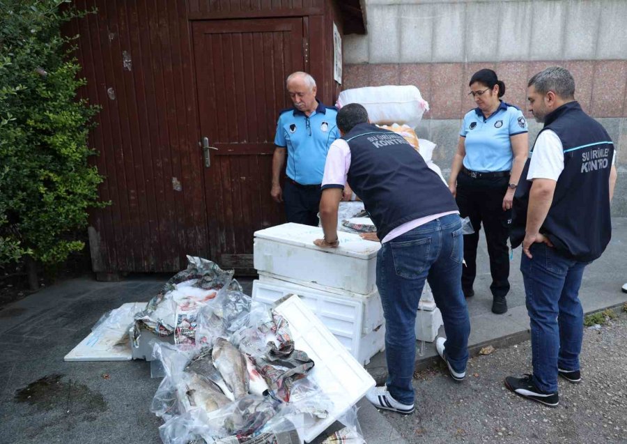 Antalya Otogarı’nda Balık Operasyonu: 260 Kilo Ele Geçirildi