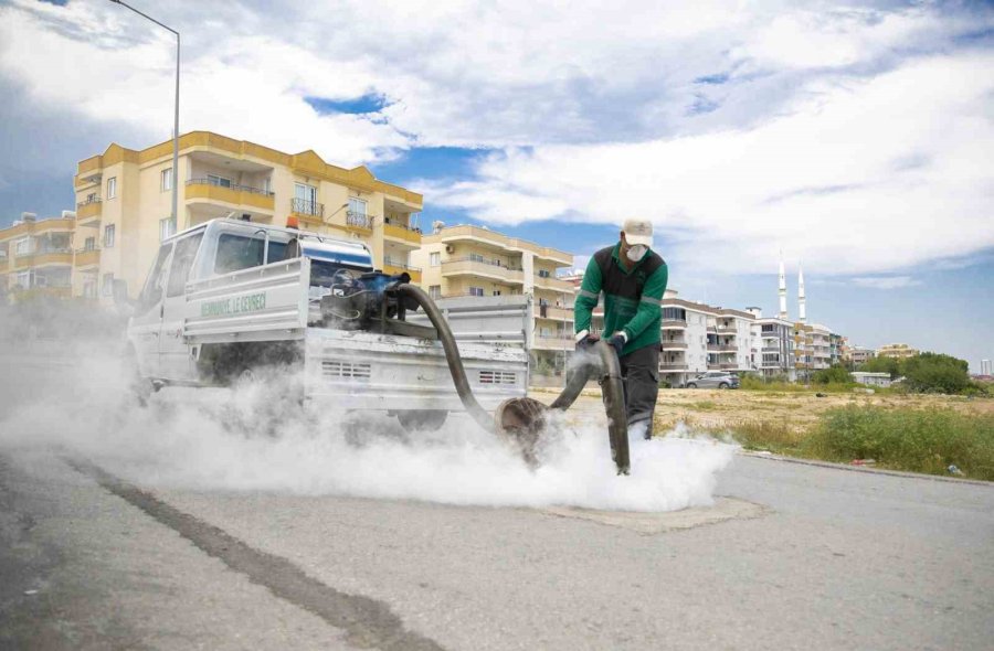 Mersin’de Sinek Ve Haşerelere Karşı Yoğun Mesai