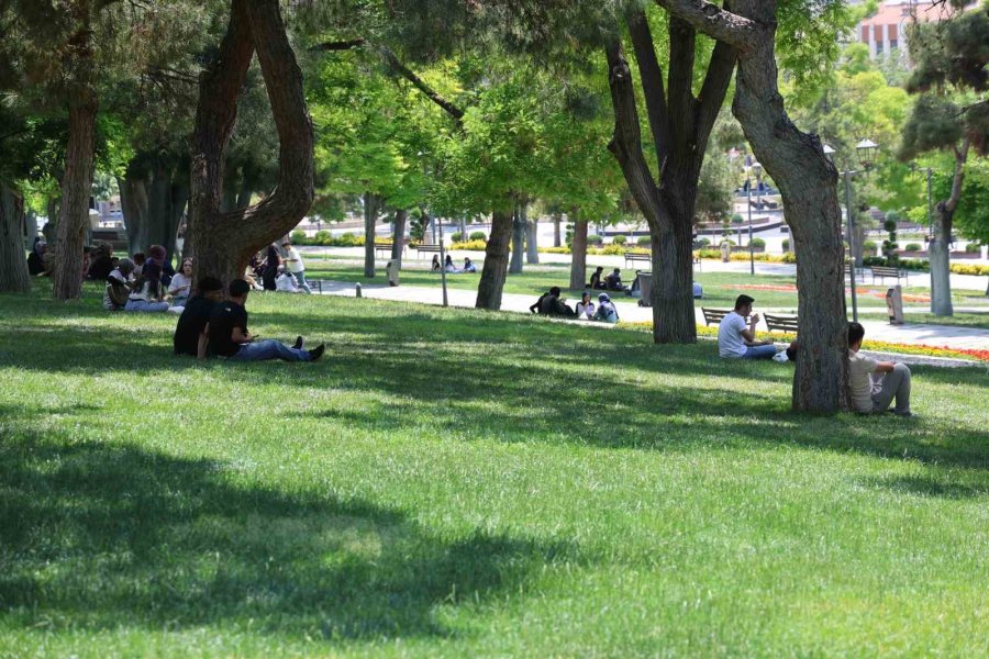 Uzmanlardan, "kırım Kongo Kanamalı Ateşi Ölüme Kadar Götürebiliyor" Uyarısı
