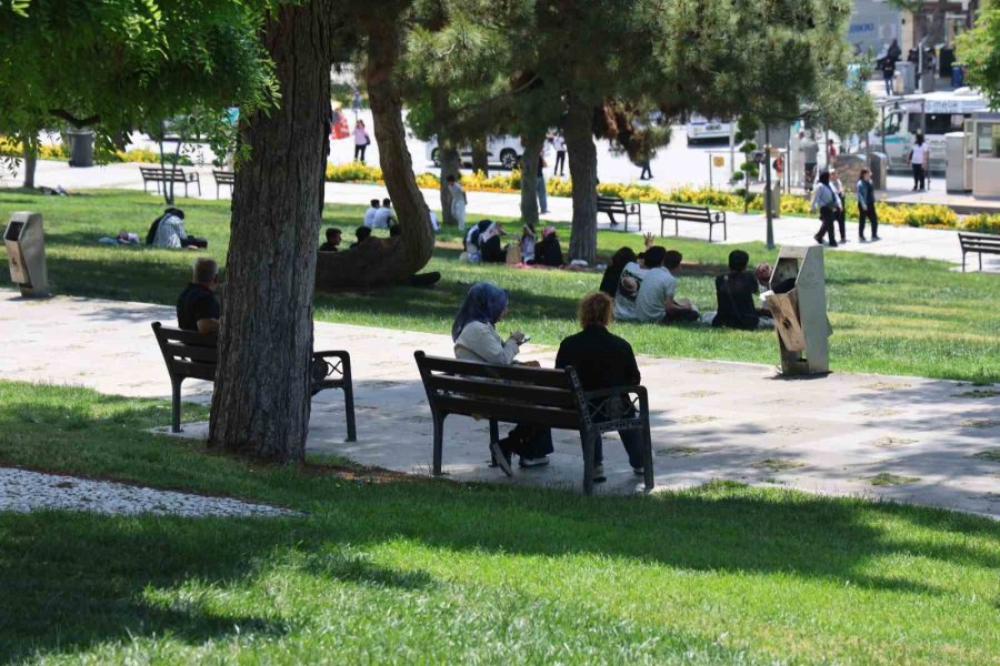 Uzmanlardan, "kırım Kongo Kanamalı Ateşi Ölüme Kadar Götürebiliyor" Uyarısı