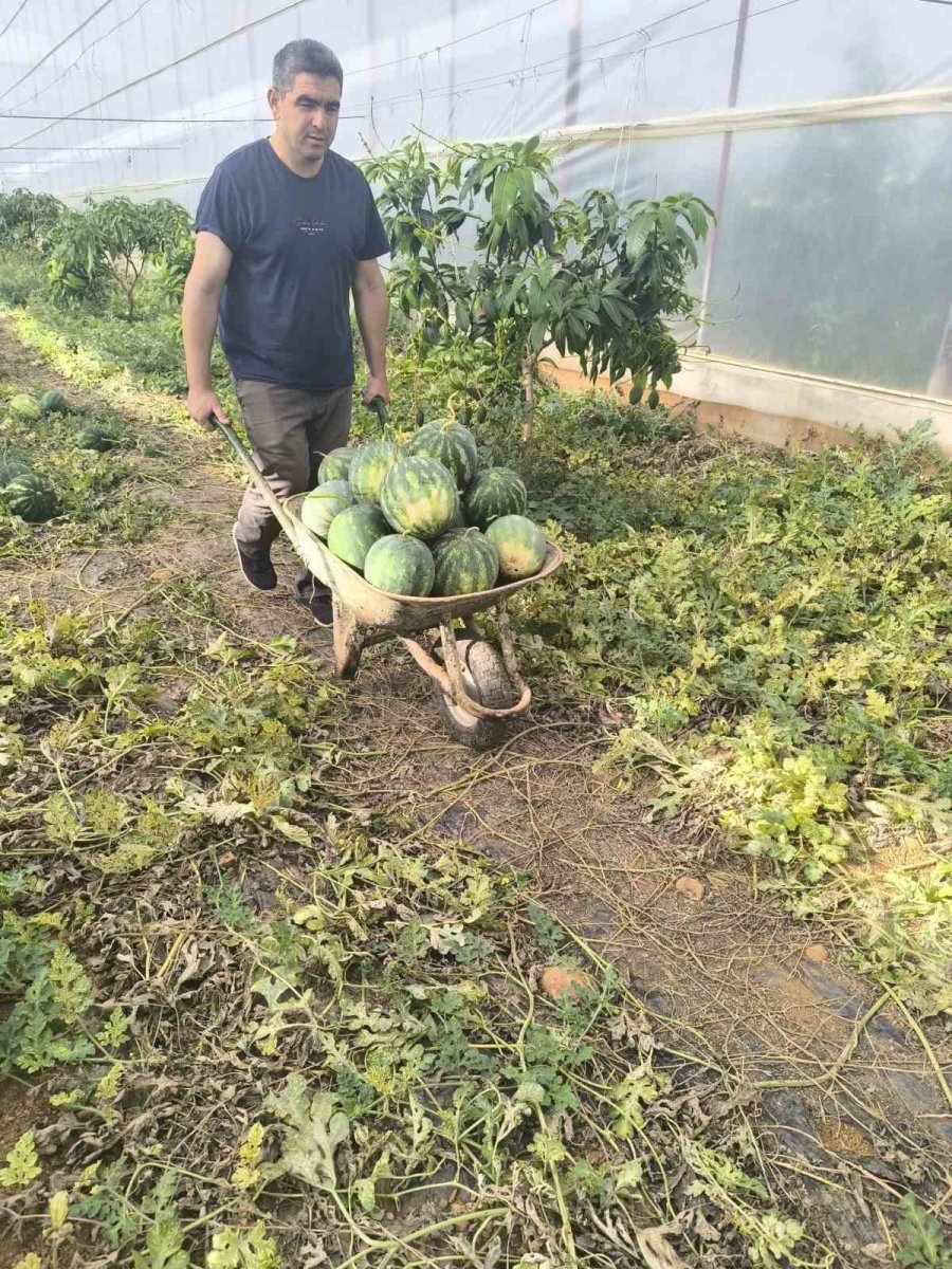Hayırsever Çiftçinin Tarlası Bu Yıl Öğrencilerin İçin Hasat Edildi
