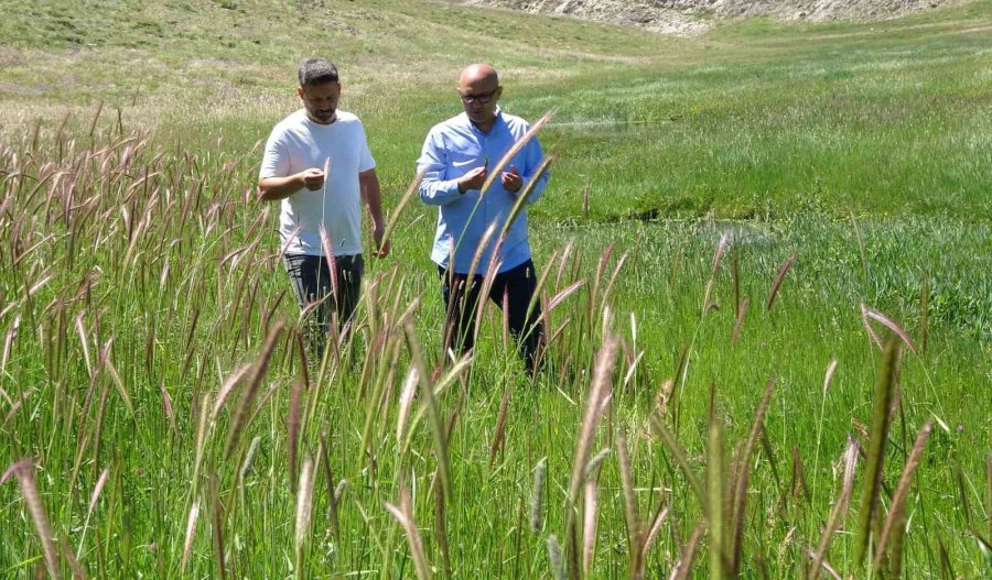 Bahar Yeni Geldi, Kıvrım Kıvrım Menderesler Akmaya Başladı: Eğriçayır’ı Çiçekler Kapladı
