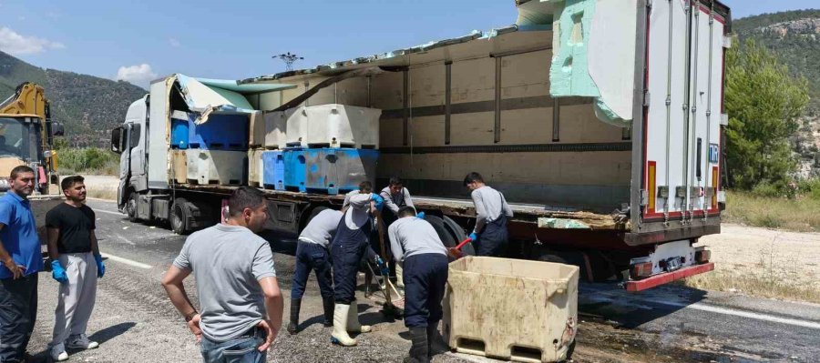 Seyir Halindeki Tırın Dorsesi Patladı, 15 Ton Balık Atığı Yola Saçıldı