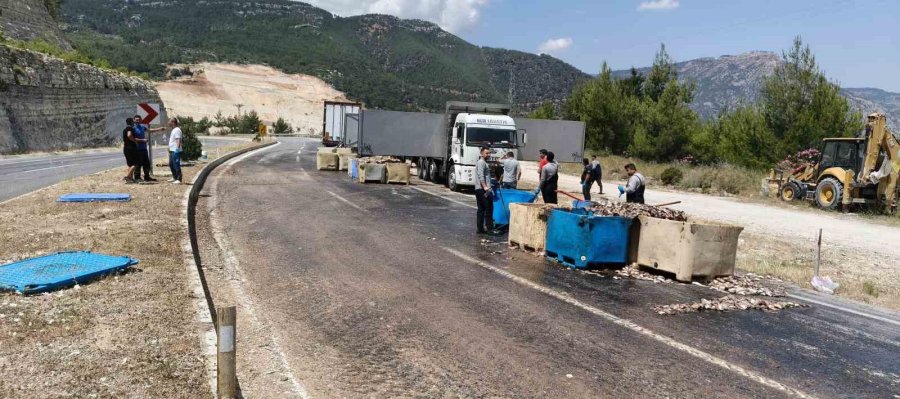 Seyir Halindeki Tırın Dorsesi Patladı, 15 Ton Balık Atığı Yola Saçıldı