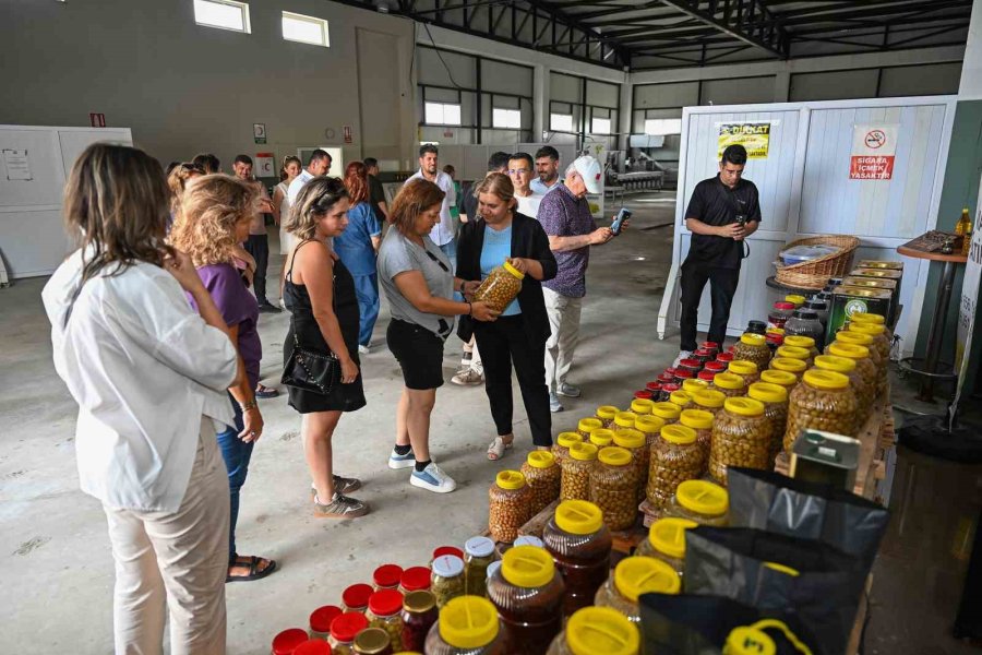 Mersin’de Coğrafi İşaretler İçin Güç Birliği