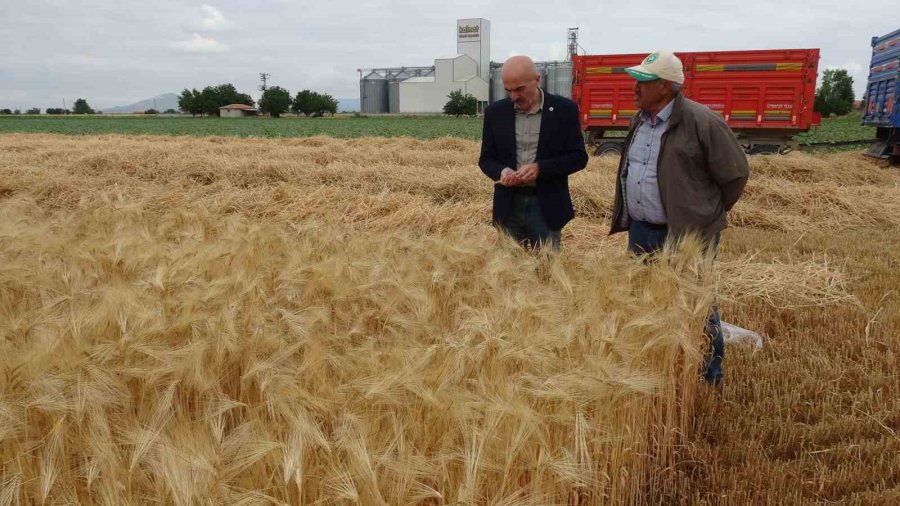 Karaman Ovası’nda Yılın İlk Arpa Hasadı Yapıldı