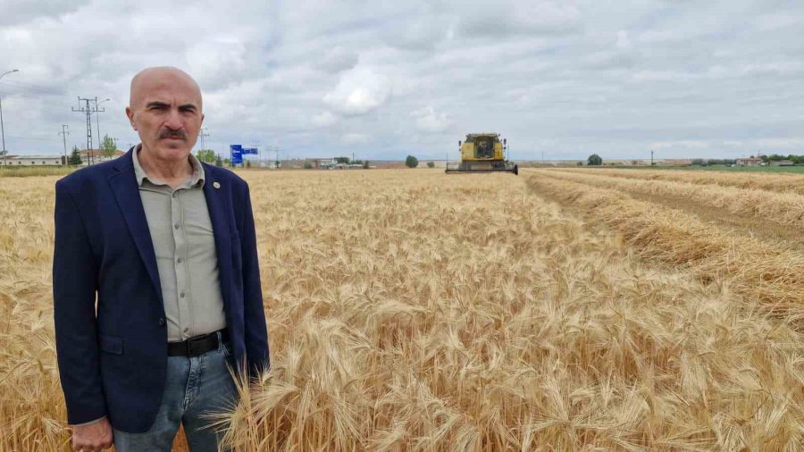 Karaman Ovası’nda Yılın İlk Arpa Hasadı Yapıldı
