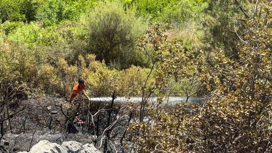 Alanya’da Zirai Alanda Çıkan Yangında 1 Dönüm Zarar Gördü