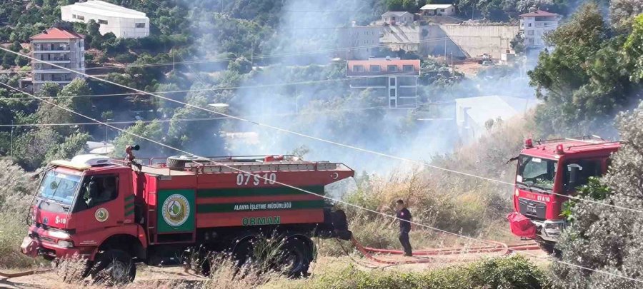 Alanya’da Zirai Alanda Çıkan Yangında 1 Dönüm Zarar Gördü