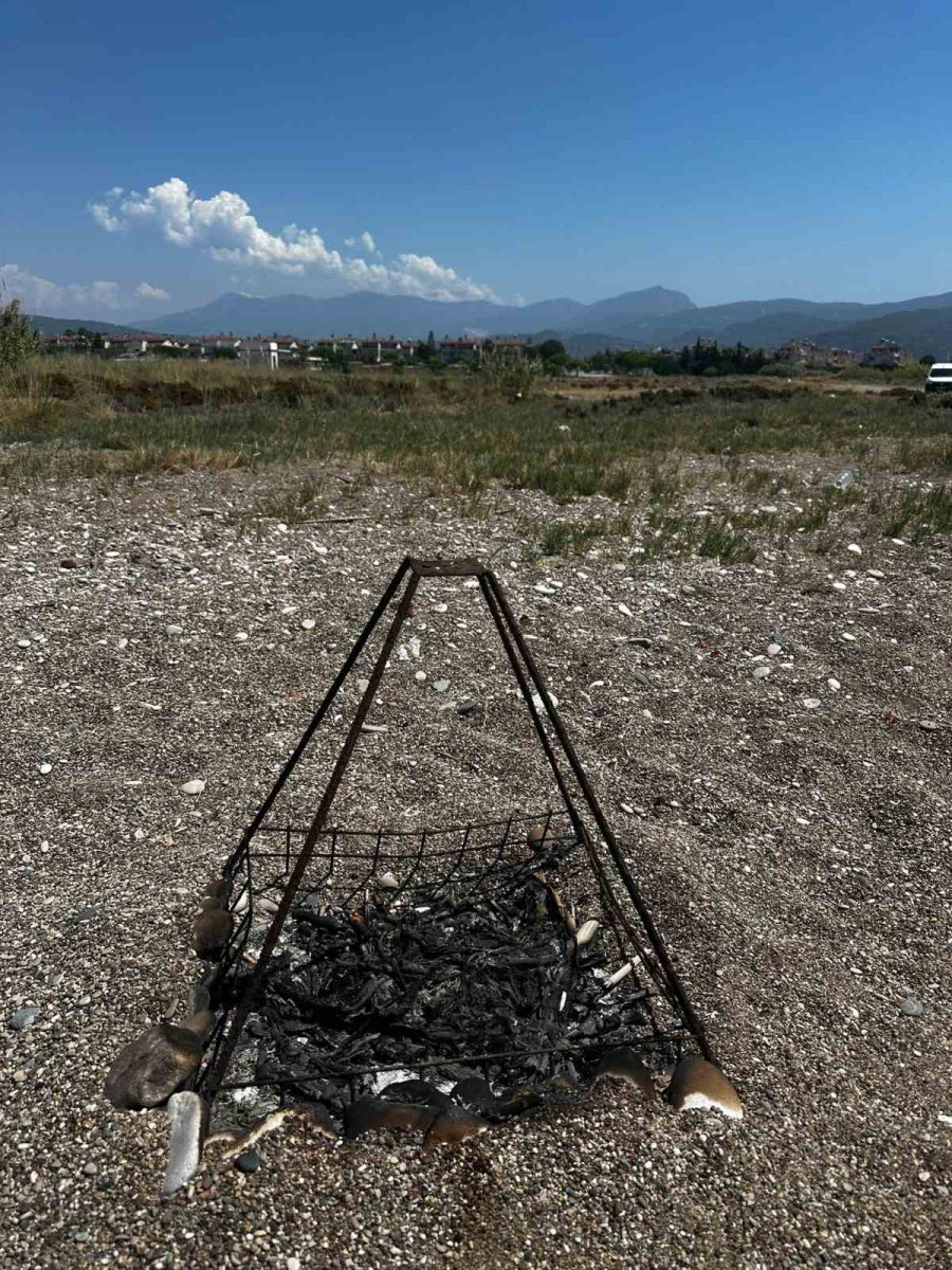 Caretta Caretta Yuvasının Üzerinde Mangal Ateşi Yaktılar