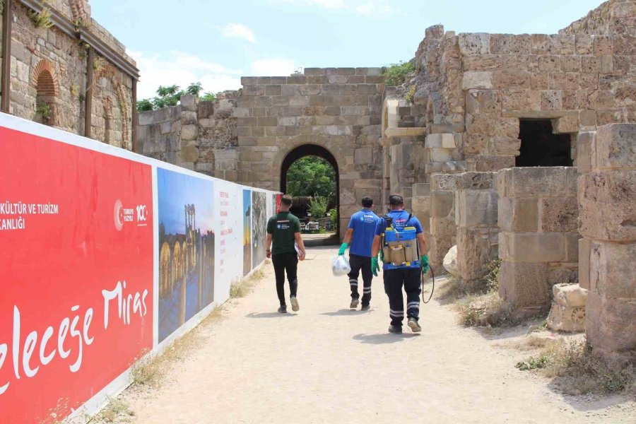 Antalya’da Vektörle Mücadele 19 İlçede Sürdürülüyor