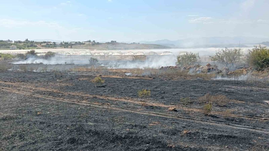 Antalya’da Otluk Alan Yangını İtfaiye Ekiplerince Söndürüldü