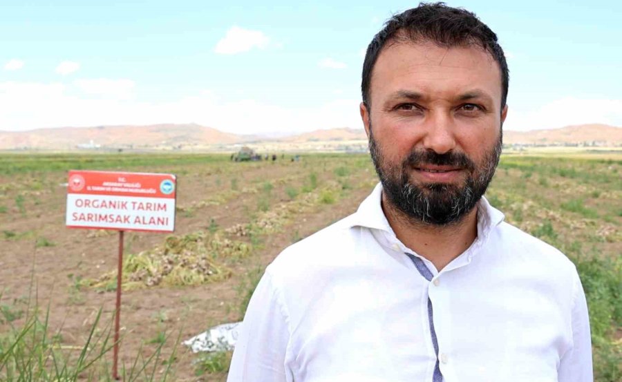 Aksaray’ın Ata Tohumundan Yetiştirilen Organik Sarımsakların Hasadı Başladı