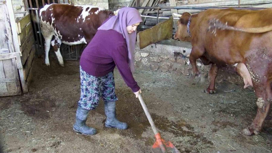 Zehra’nın Hayvan Sevgisi Sosyal Medyada İlgi Odağı Oldu
