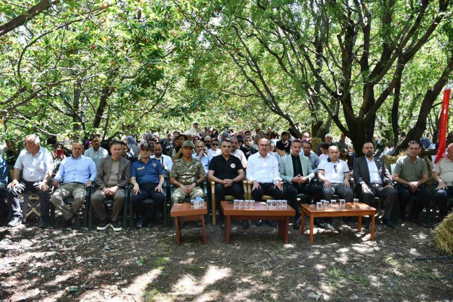Akşehir’de "kiraz Hasat Şenliği" Coşkusu