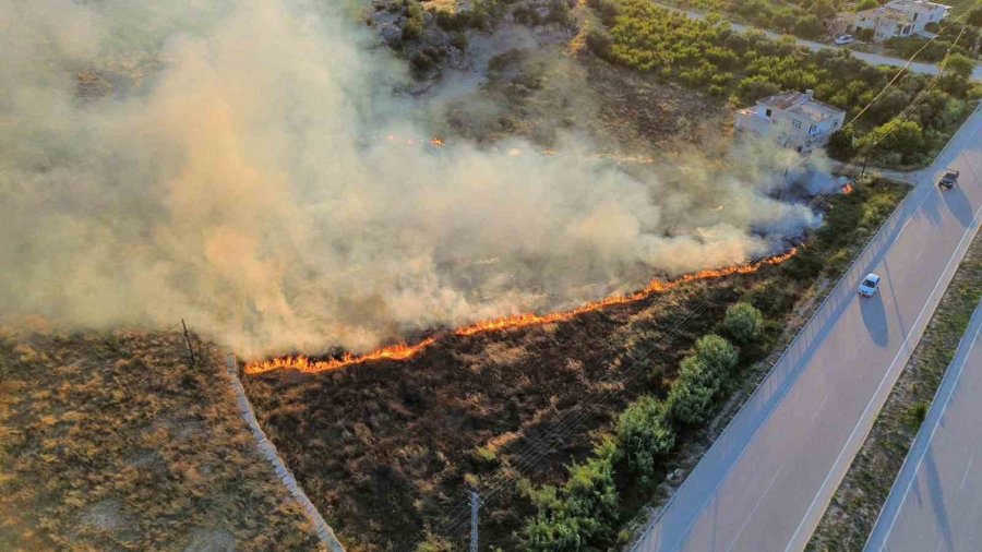 Mersin’de Çıkan Yangın Evlere Ve Ormana Ulaşmadan Söndürüldü