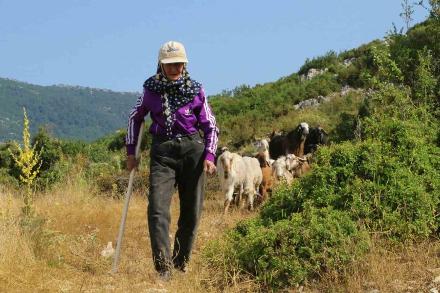 Antalya’nın Süper Çobanı Emine Nine: 94 Yaşında, 90 Yıldır Keçileriyle Dağlarda