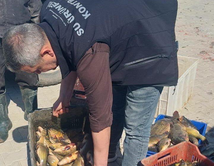 Beyşehir’de Avcılara Yakın Takip