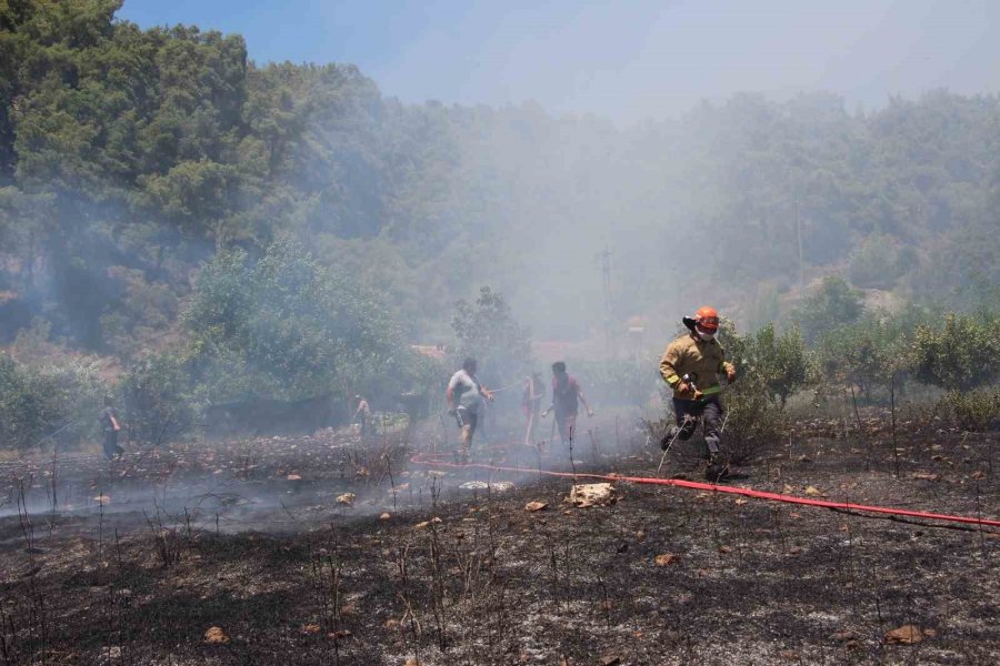 Kumluca’da Makilik Alanda Çıkan Yangın, Evlere Ve Ormanlık Alana Sıçramadan Söndürüldü