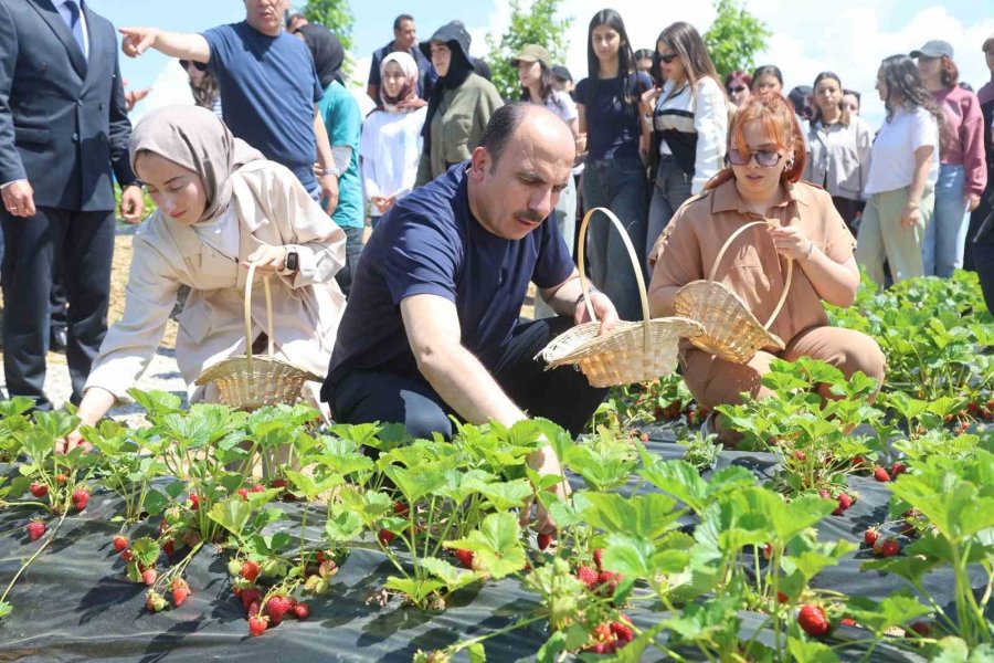 Başkan Altay, 2027 Yılı Tarımsal Destek Başvurularının 1 Temmuz’da Başlayacağını Duyurdu