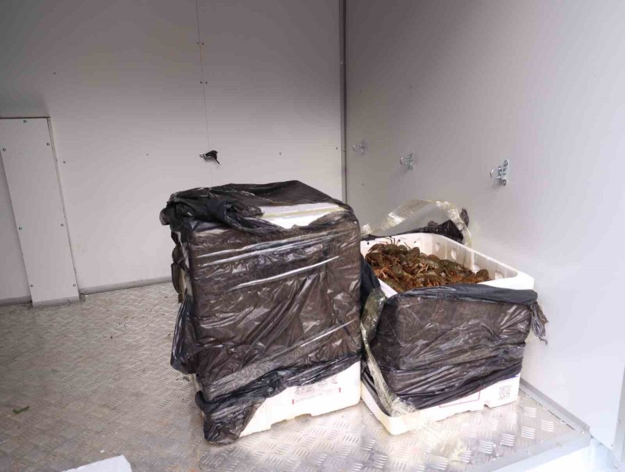 Antalya Otobüs Terminali’nde Kerevit Operasyonu: 90 Kilogram Ele Geçirildi