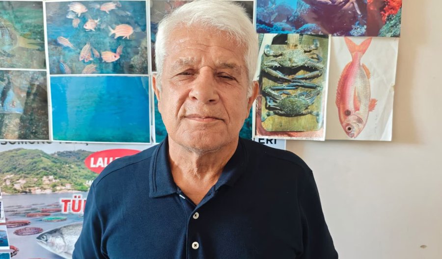 Antalya’da Deniz Dibinde Çok Sayıda Ölü Vatoz Görüntülendi