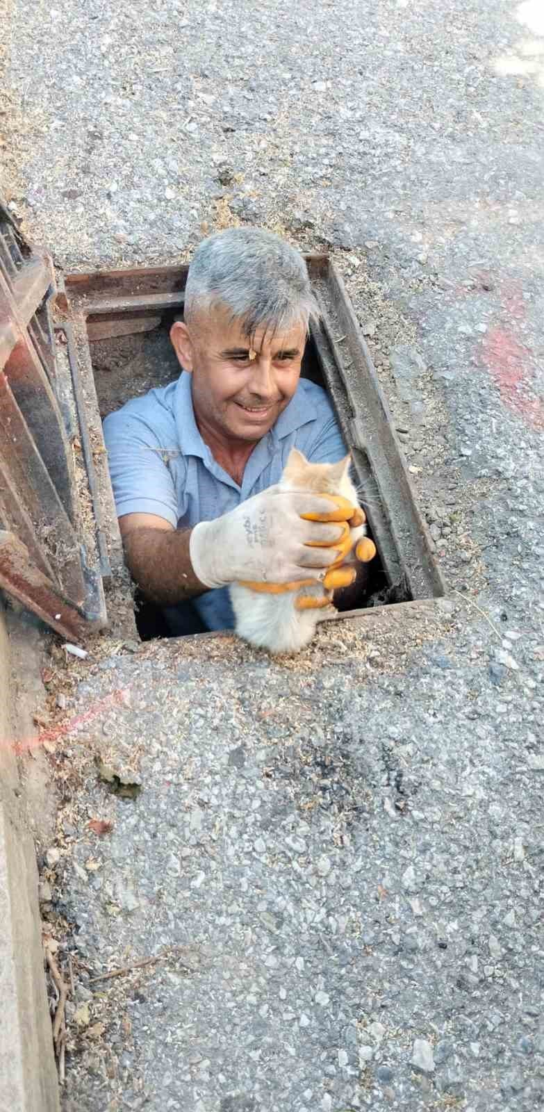 Kanalizasyona Düşen Kedi Belediye Ekiplerince Kurtarıldı