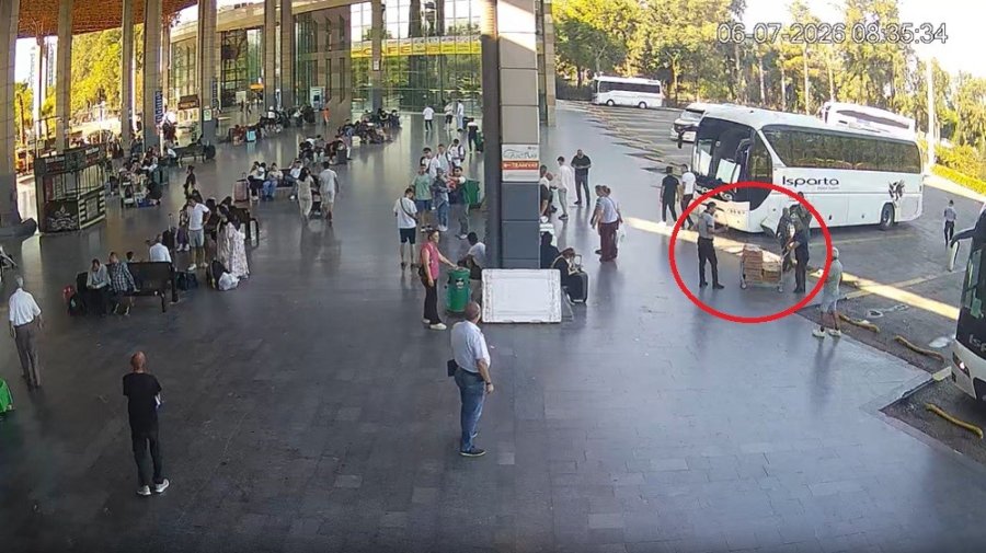 Otobüsle Bursa’dan Antalya’ya Karton Koliler İle 700 Civciv Gönderdiler